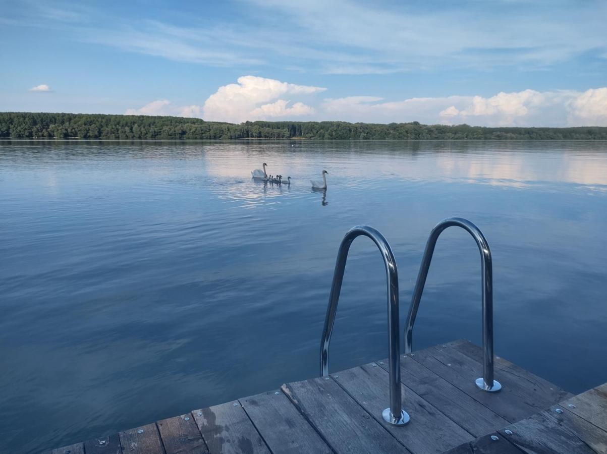 Willa Bora Kuce Na Reci Belgrad Zewnętrze zdjęcie