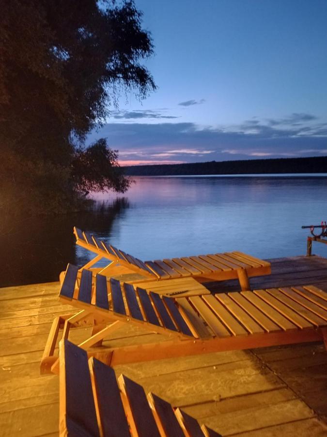 Willa Bora Kuce Na Reci Belgrad Zewnętrze zdjęcie