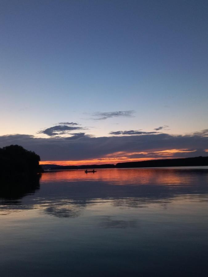 Willa Bora Kuce Na Reci Belgrad Zewnętrze zdjęcie